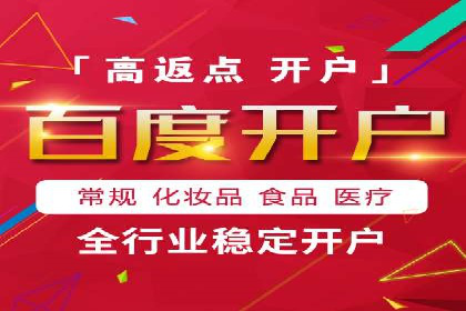 案例解读：SEO与SEM优化助力电商崛起